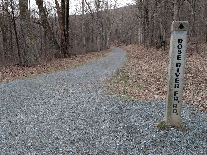 The start of the Fire Road just off the Skyline Drive.