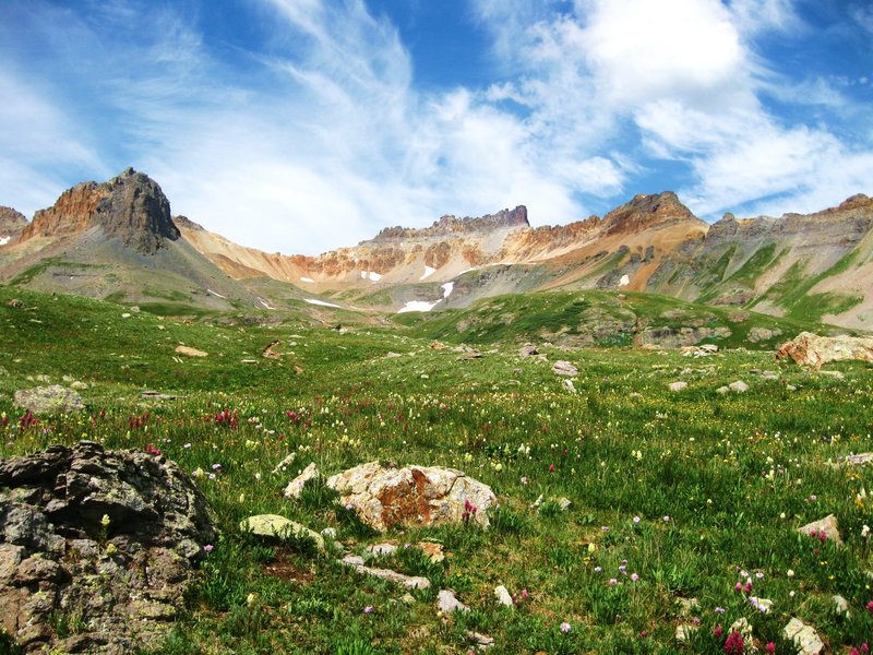 Tundra in the Ice Lake Basin with permission from David Broome