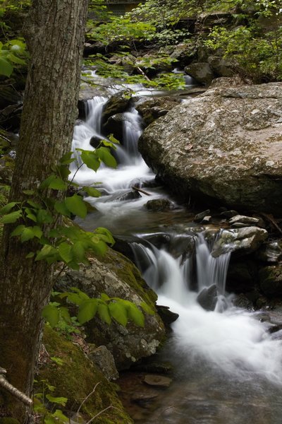 One of the many cascades found along the Rose River Loop Trail