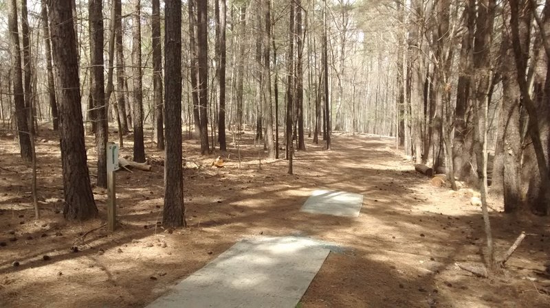 The trail passes by the disc golf course, so keep an eye out for frisbees!