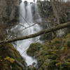 To reach this view of Lewis Falls from its base, you'll need to do some bushwhacking.