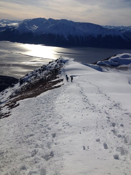 Heading down from top of Bird Ridge Trail, Turnagain Arm in background.