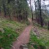 An image of the main trail that contours the bluff below High Drive.