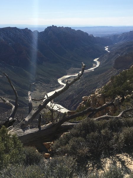 Ruple Point with a great view of the Green River