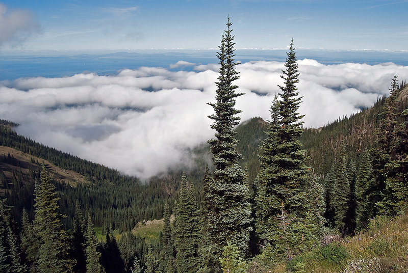 The clouds above hang Dungeness Valley as seen from the Rainshadow Trail. with permission from Ralph Maughan