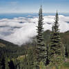 The clouds above hang Dungeness Valley as seen from the Rainshadow Trail. with permission from Ralph Maughan