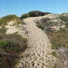 Heading up the dunes on the Franklin Point Trail.