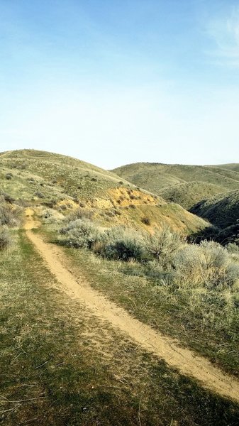 Highland Valley singletrack.