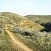 Highland Valley singletrack.