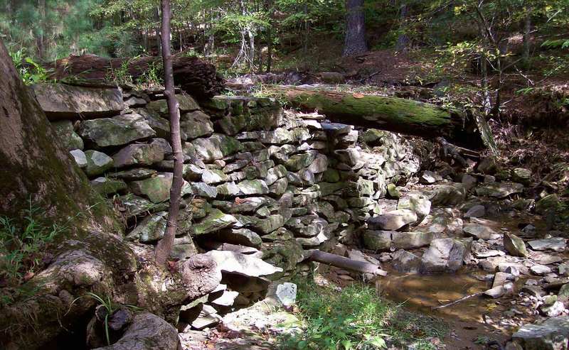 The dam along Pott's Branch Trail. with permission from Justin P