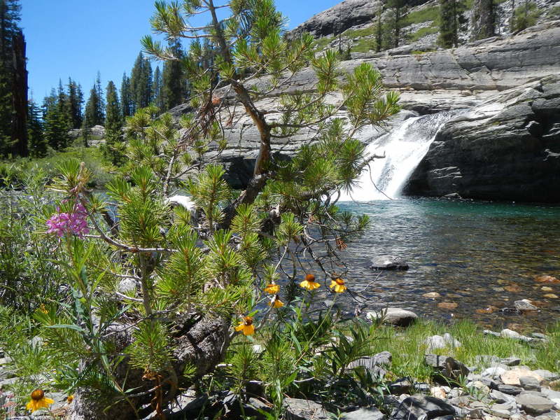 Wildflowers and waterfall along the North Fork San Joaquin River.