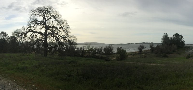 View of Folsom Lake from The Snake Pit.