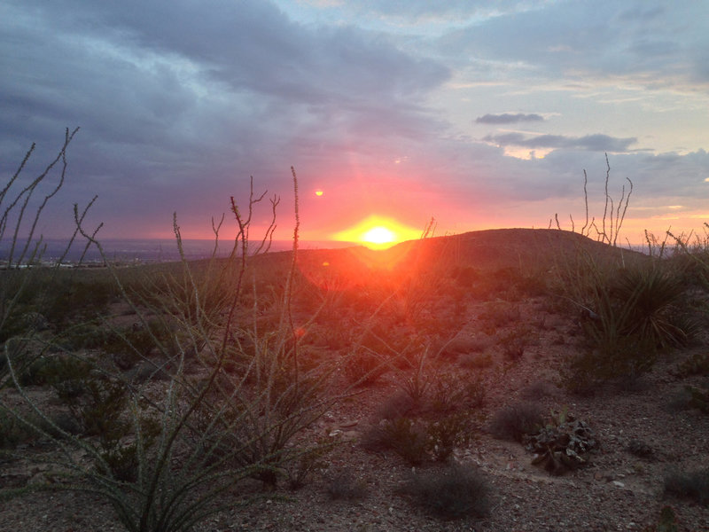 A high desert sunset along the ocotillo fields of Little Moab.