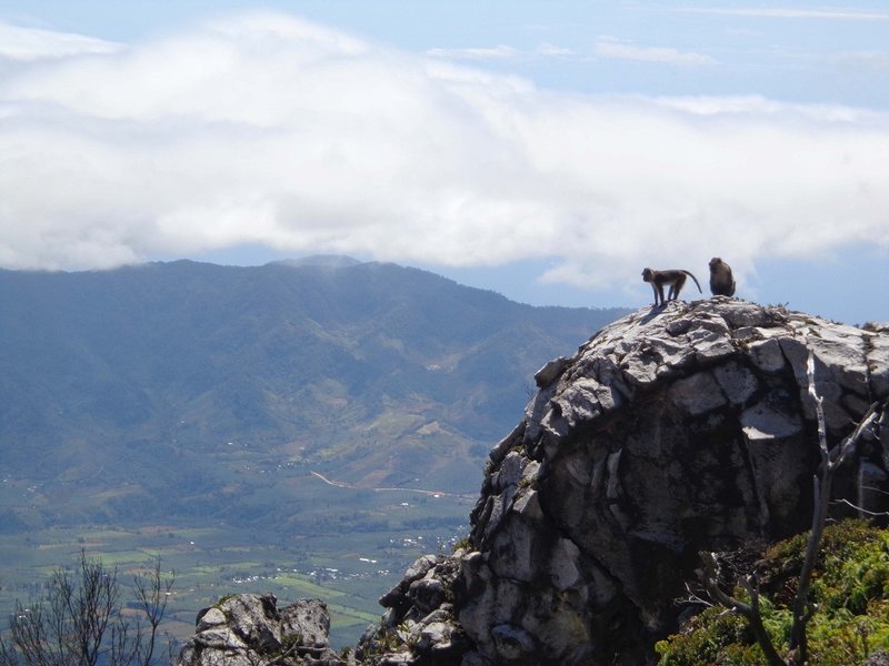 The mountain gods of Mt. Apo.