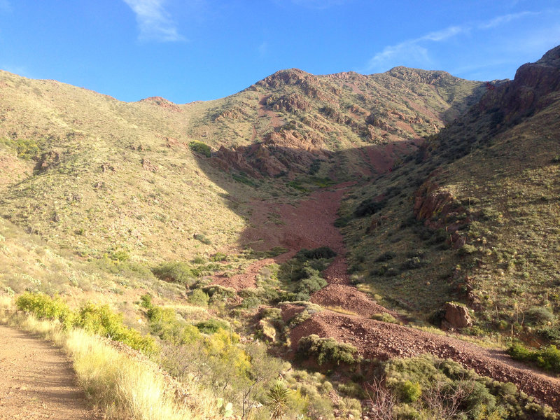 This scree field, descending the slope of North Franklin Peak, makes up most of West Cottonwood Spring Trail. The spring-fed trees are visible on the edge of the shady area in the upper left section of the picture.