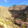 This scree field, descending the slope of North Franklin Peak, makes up most of West Cottonwood Spring Trail. The spring-fed trees are visible on the edge of the shady area in the upper left section of the picture.