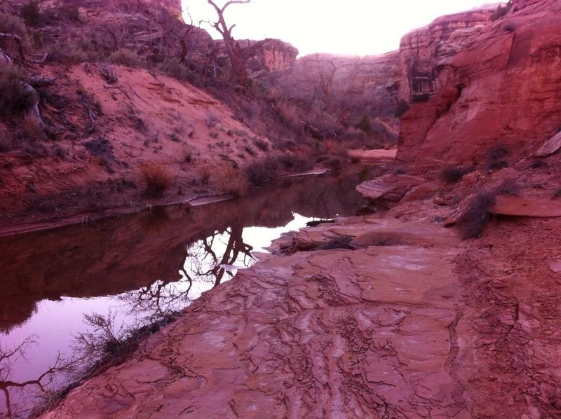 Near LC2 backcountry campsite.