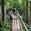 Hiking Segment 2 of the Mountains-to-Sea Trail. Photo by Danny Bernstein.