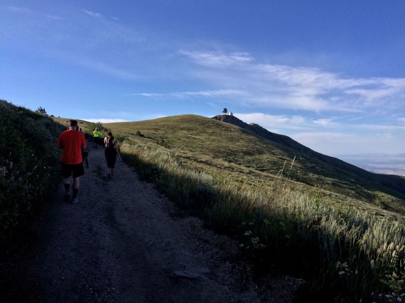 Just topped out from the Bair Canyon trail onto the Skyline Trail. Francis Peak and radar towers in the background. It's (almost) all downhill from here.