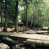 Acadia Mountain Trail.