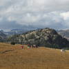 Beartooth Plateau...heading down into the canyon.