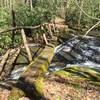 The first of six stream crossings near the beginning of the Twentymile Trail.