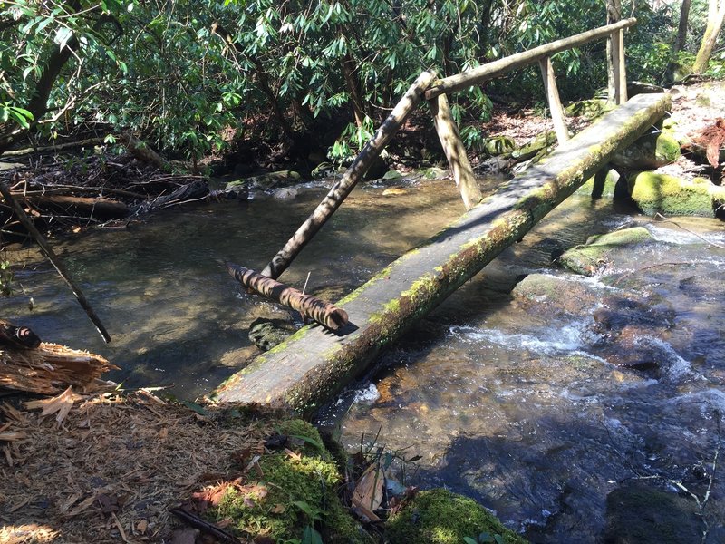 One of six stream crossings near the beginning of the Twentymile Trail. Two of these small bridges are in a slight state of disrepair.