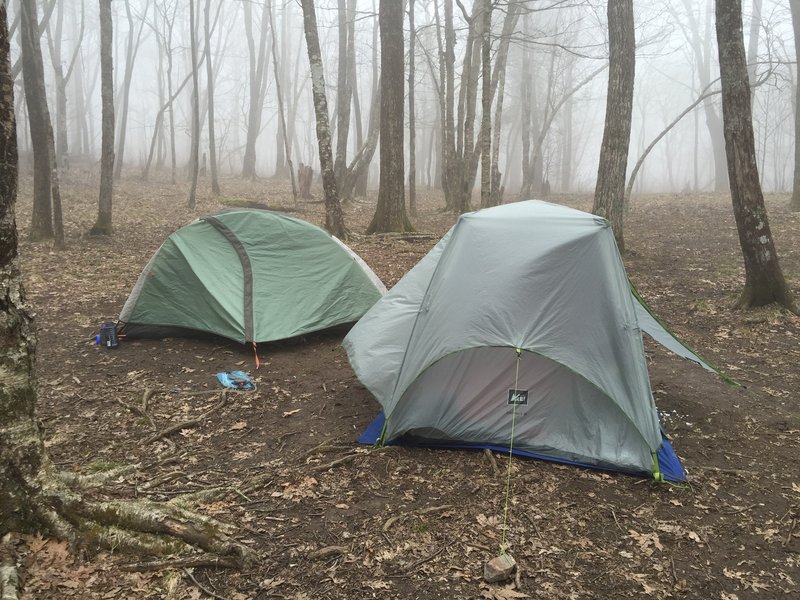 Campsite 13 - Sheep Pen Gap. Great elevation, not a far hike from Gregory Bald. Hikers can stay here for the night, and catch a sunset/sunrise from atop the bald. Ample firewood. Also accumulates a decent amount of snow in the winter (by TN/NC standards).