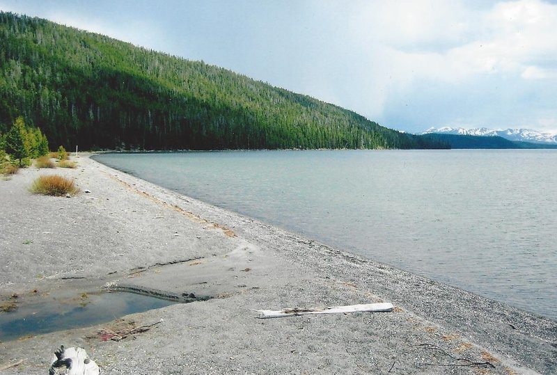 Beautiful beach on the north shore of Shoshone Lake near the mouth of DeLacy Creek.