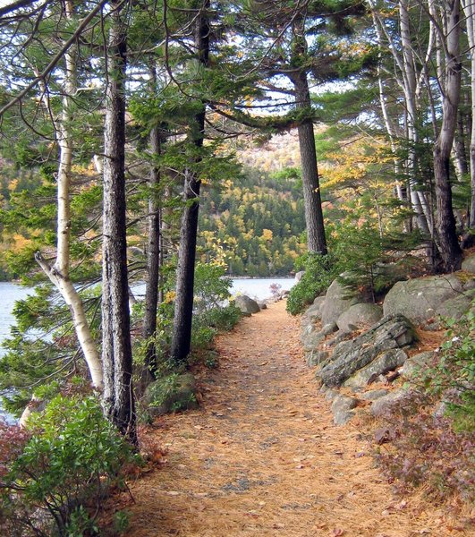 Trail around Jordan Pond.