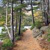 Trail around Jordan Pond.