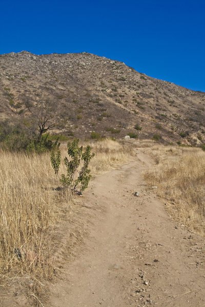 Monserate Mountain Trail. with permission from 100peaks 100peaks.com