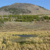 Beaver pond area beneath Bunsen Peak. with permission from Ralph Maughan