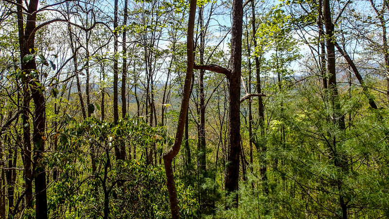 Wolf Ridge Trail Vista. with permission from Mike Lerch