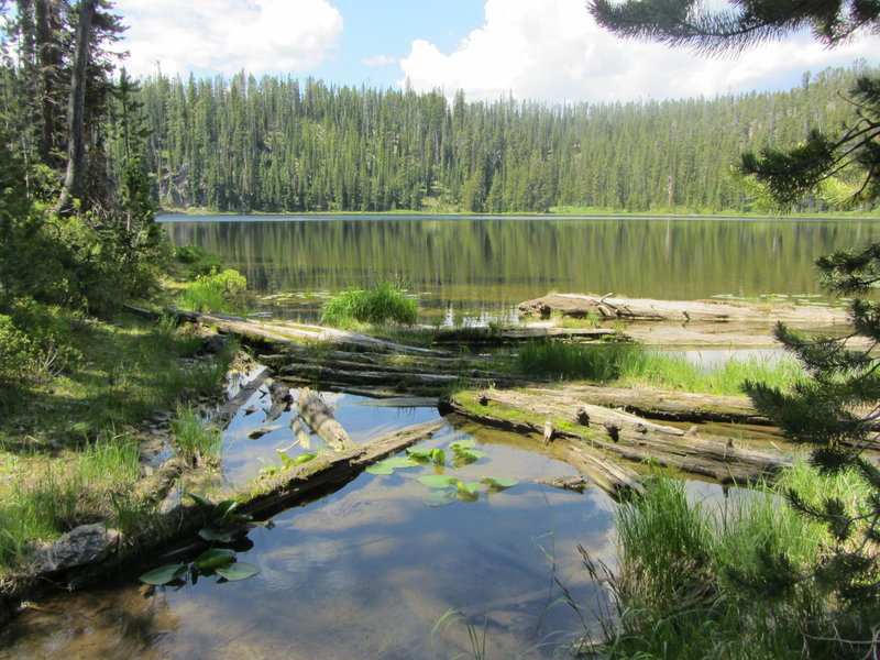 The outlet to lovely Pocket Lake.