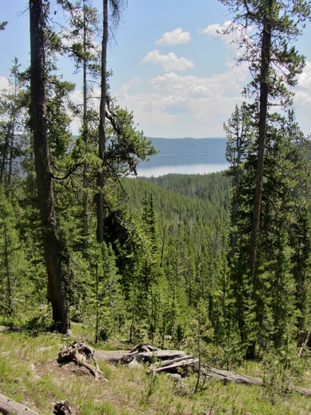 The trail affords occasional views of Shoshone Lake below.