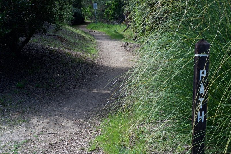 Trail as it it departs the road.