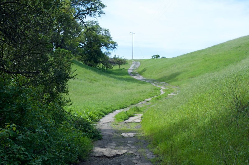 The old road as it climbs up the ravine. You can see where the concrete is deteriorating as the years pass.