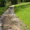 As the trail descends to the lake, the surface returns to an old road that is deteriorating.