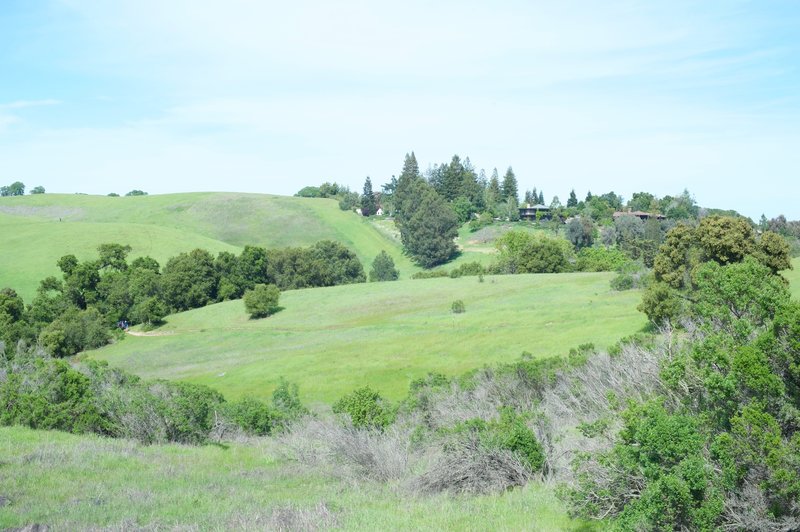 The trail climbs to the hills in the area. Views of the homes in the Palo Alto Hills can be seen from the trail.