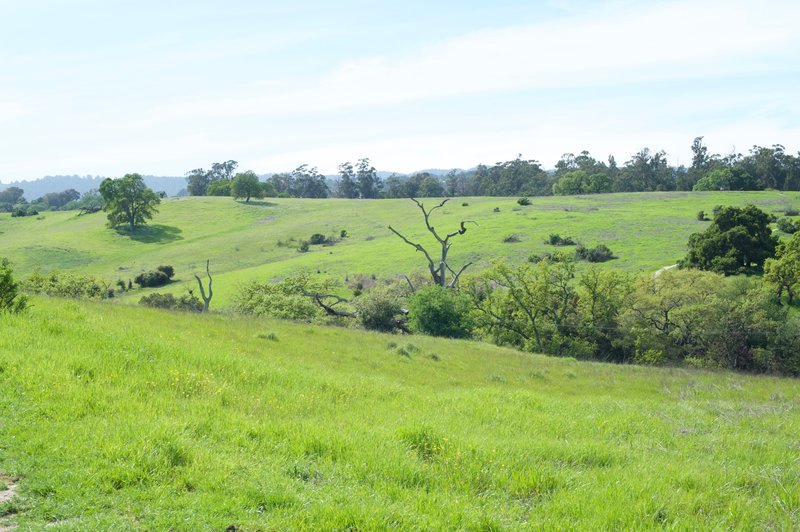 Looking out over the preserve from the Wild Rye Trail.