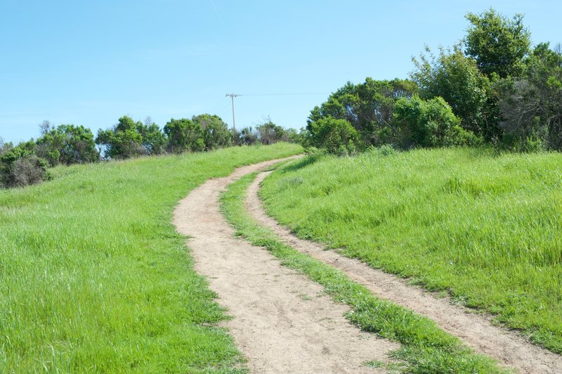 Portions of the trail widen as it continues to climb the hills.