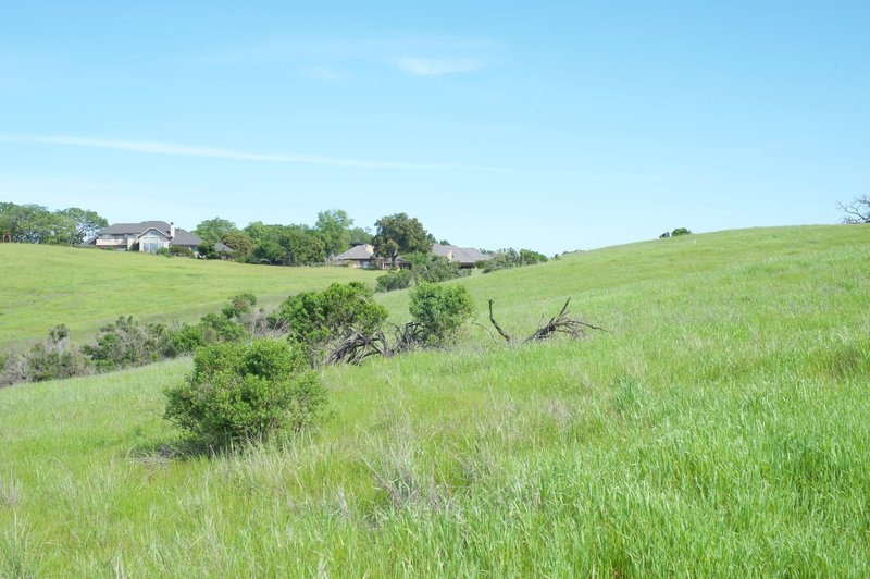 Homes looking into the preserve. If the preserve had not been created, these homes would be found throughout the area.