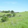 Homes looking into the preserve. If the preserve had not been created, these homes would be found throughout the area.