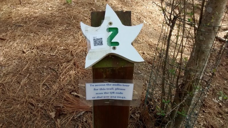 Audio tour accessible by cell phone to hear about the variety of trees at Harris Lake.