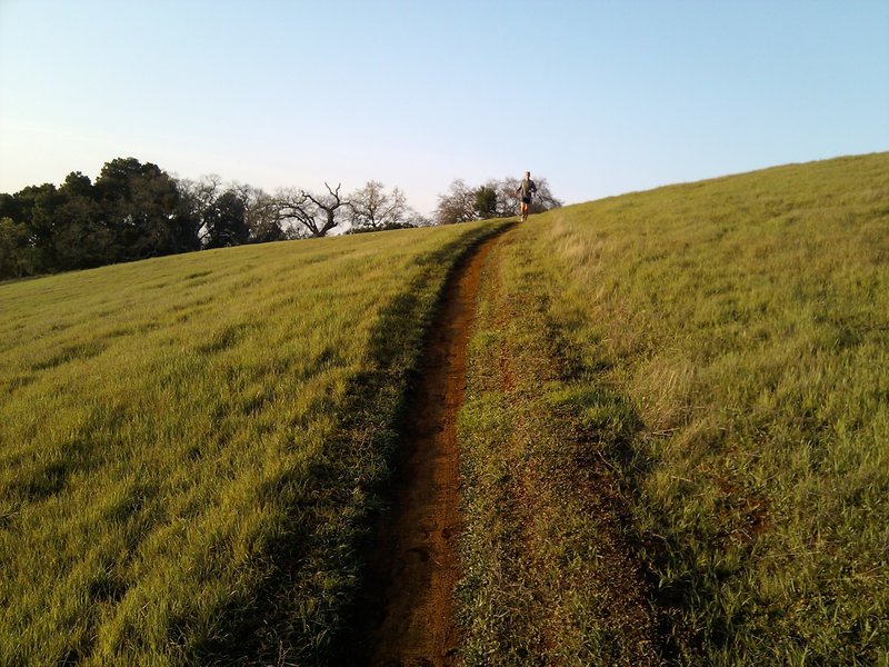 An evening on the trails.