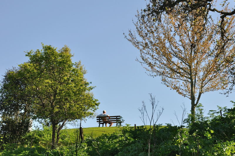 Enjoying the day at Arastradero Preserve.