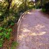 Wood Canyon Trail.