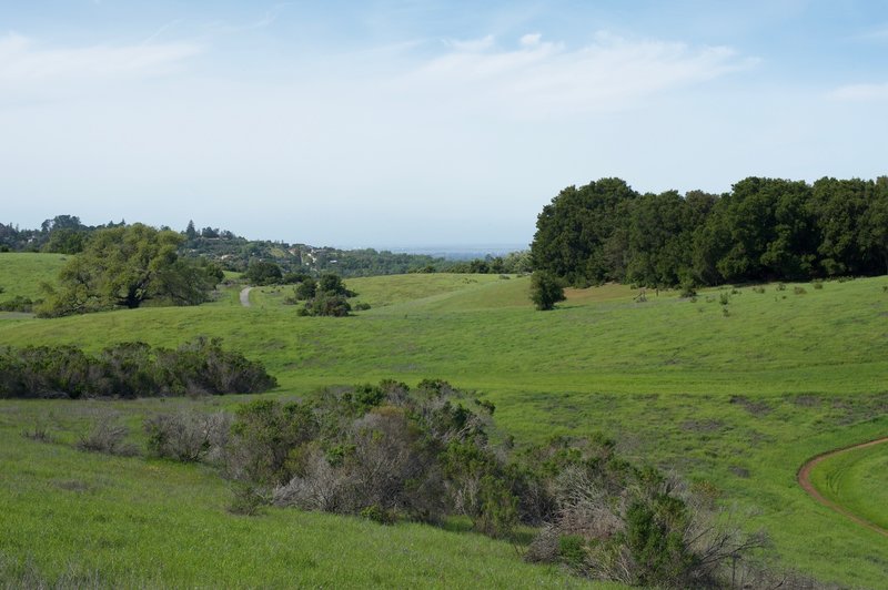 You can see the Meadowlark Trail and the Bowl Loop Trail from this trail.