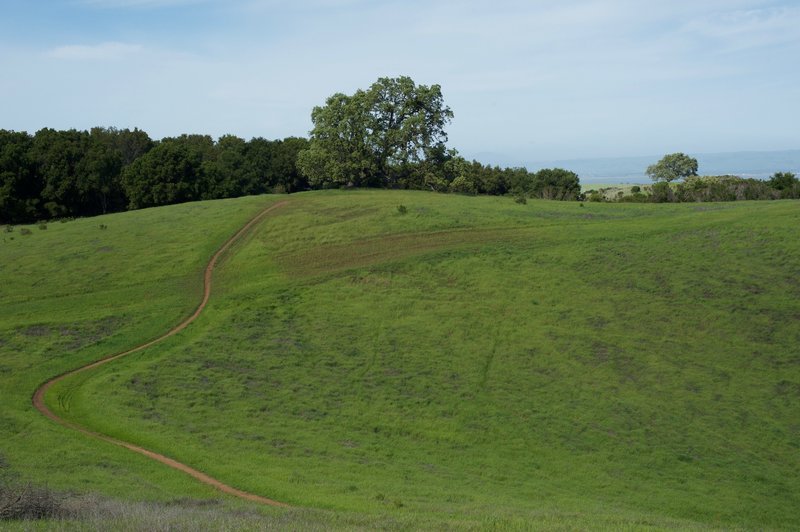 Bowl Loop Trail drops from one hillside and climbs another. Views of the East Bay, South Bay, and other areas are offered along the trail.